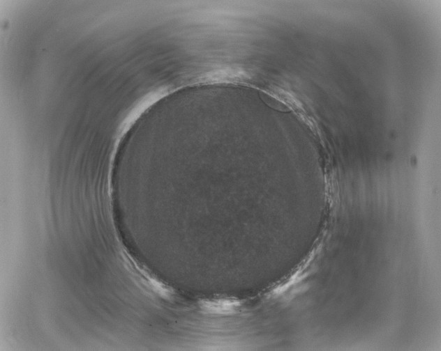 X0000066530196200603241410