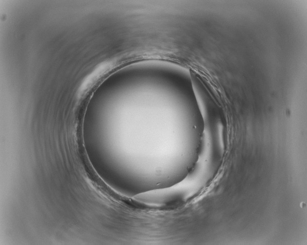 X0000066530197200603241410