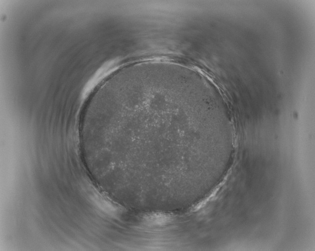 X0000066530198200603241410