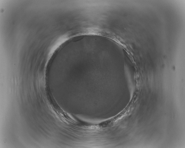 X0000066530200200603241410