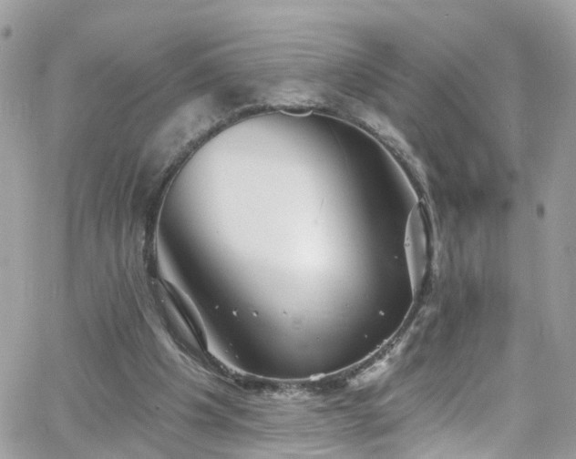 X0000066530201200603241410