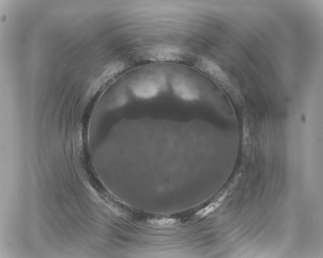 X0000066530202200603241410