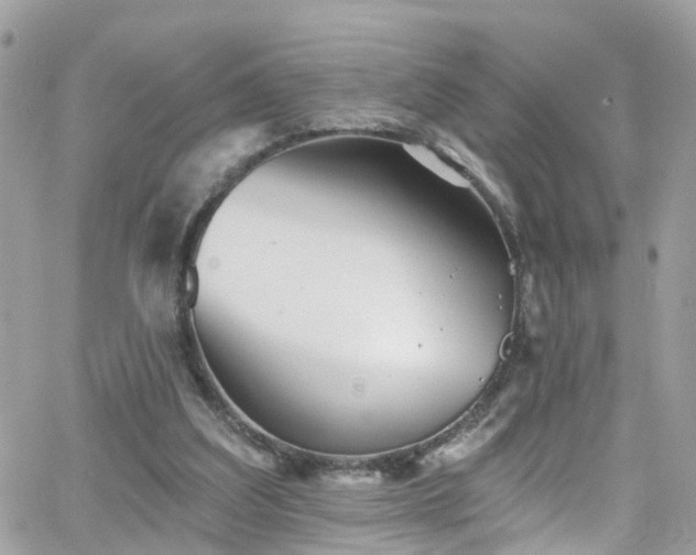 X0000066530203200603241410