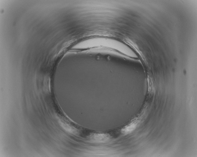 X0000066530205200603241410