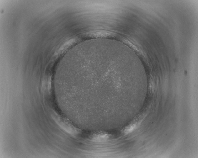 X0000066530206200603241410