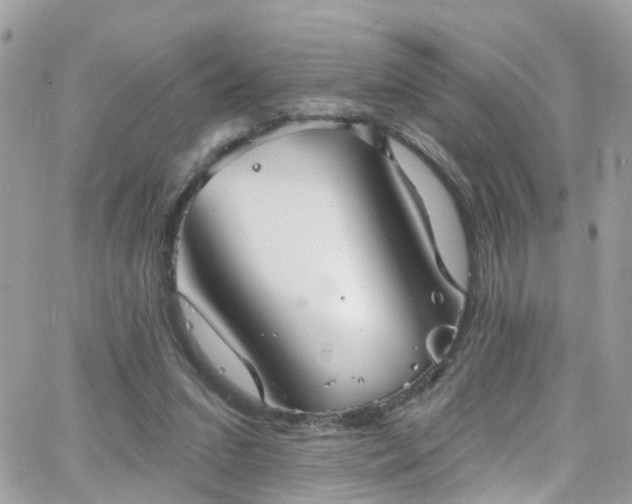 X0000066530207200603241410