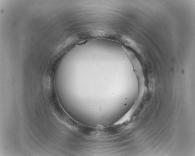 X0000066530211200603241410