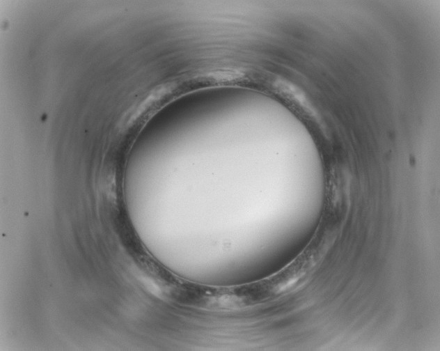 X0000066530212200603241410