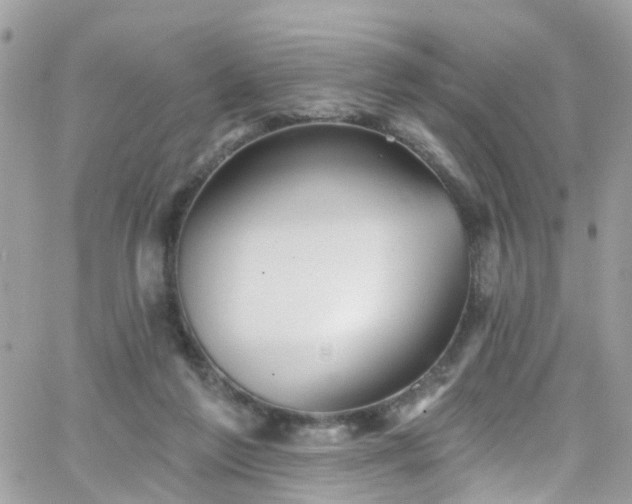 X0000066530213200603241410