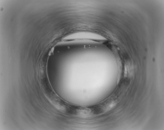 X0000066530215200603241410