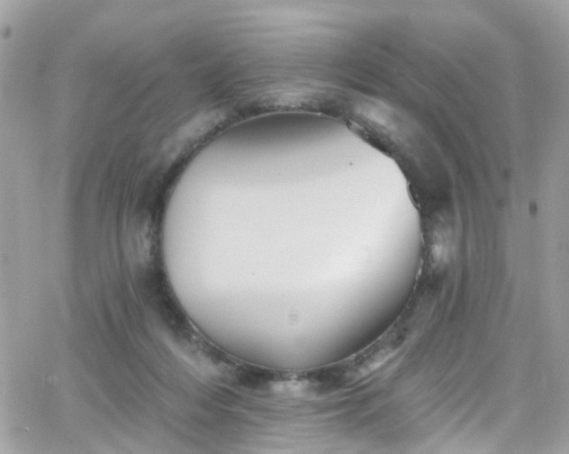 X0000066530216200603241410