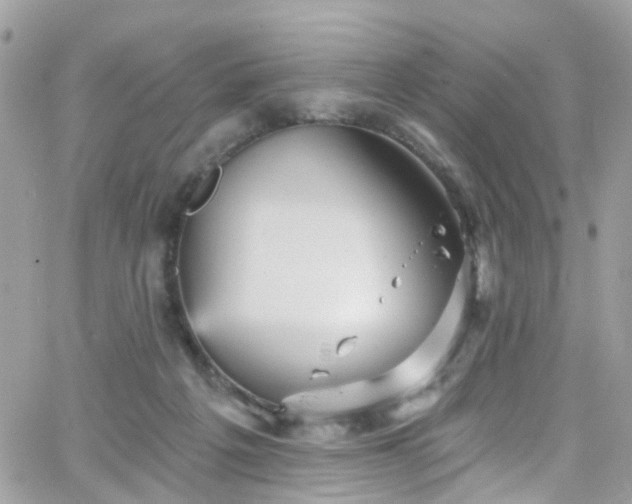 X0000066530217200603241410