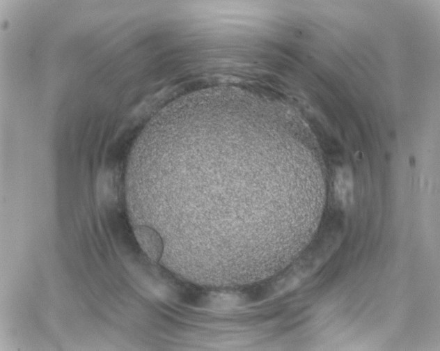 X0000066530218200603241410