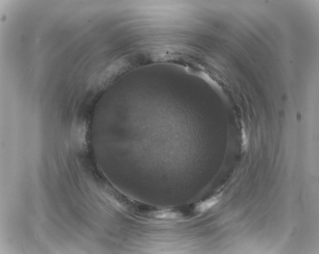 X0000066530219200603241410