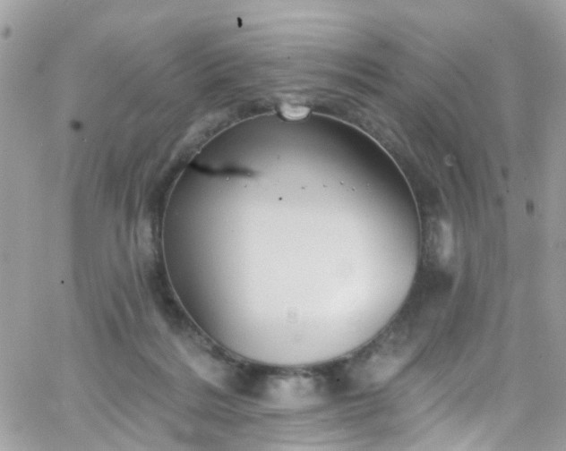 X0000066530220200603241410