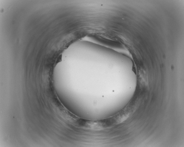 X0000066530221200603241410