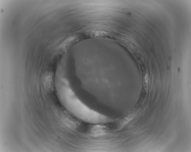 X0000066530222200603241410