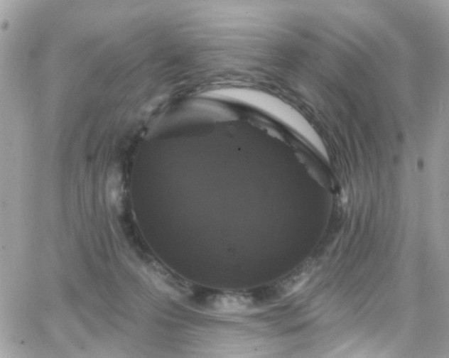 X0000066530223200603241410