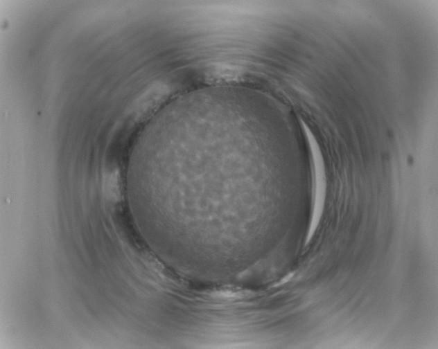 X0000066530224200603241410