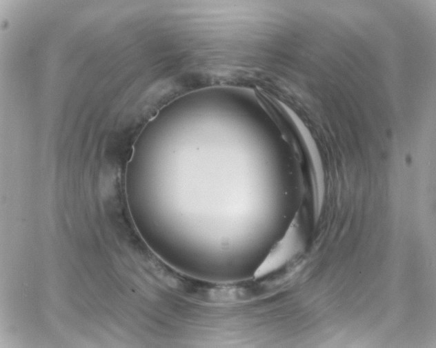 X0000066530225200603241410