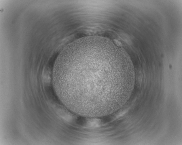 X0000066530226200603241410