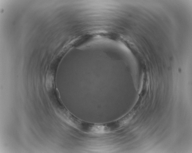 X0000066530227200603241410