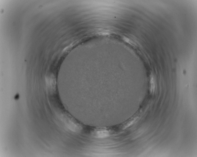 X0000066530228200603241409