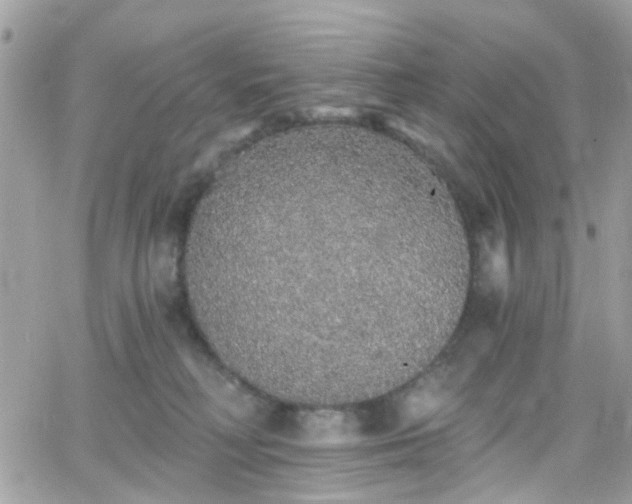 X0000066530230200603241409