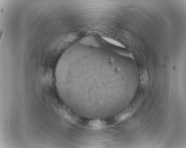 X0000066530231200603241409