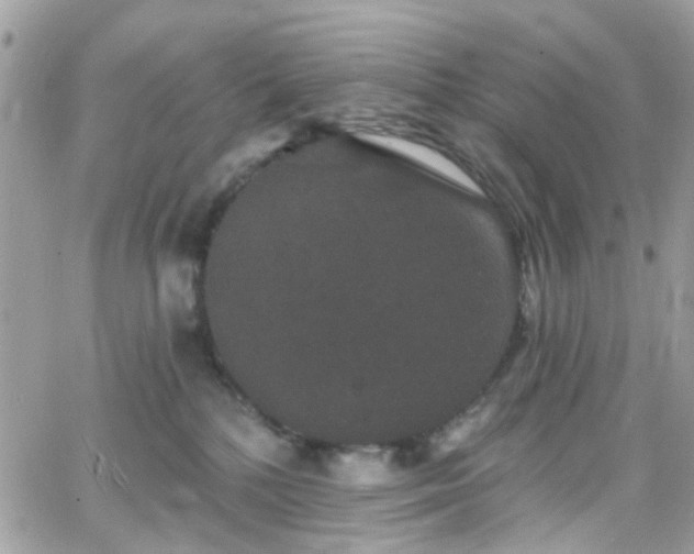 X0000066530232200603241409