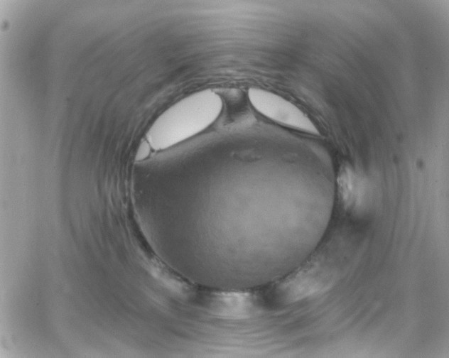 X0000066530233200603241409