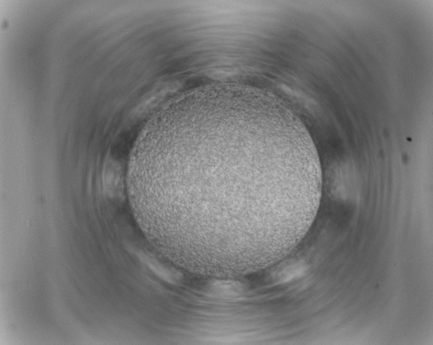 X0000066530234200603241409