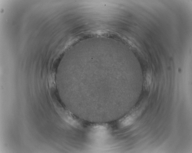 X0000066530236200603241409