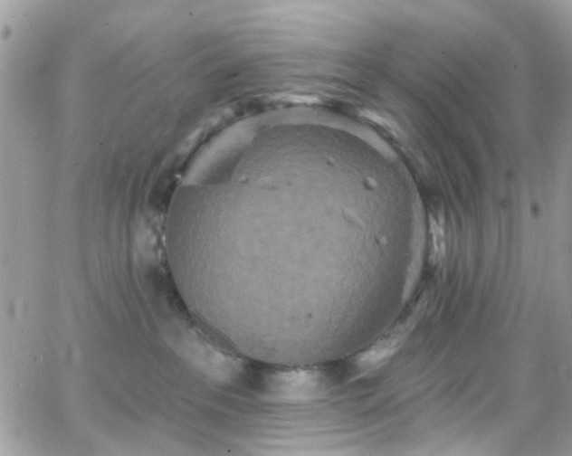 X0000066530237200603241409