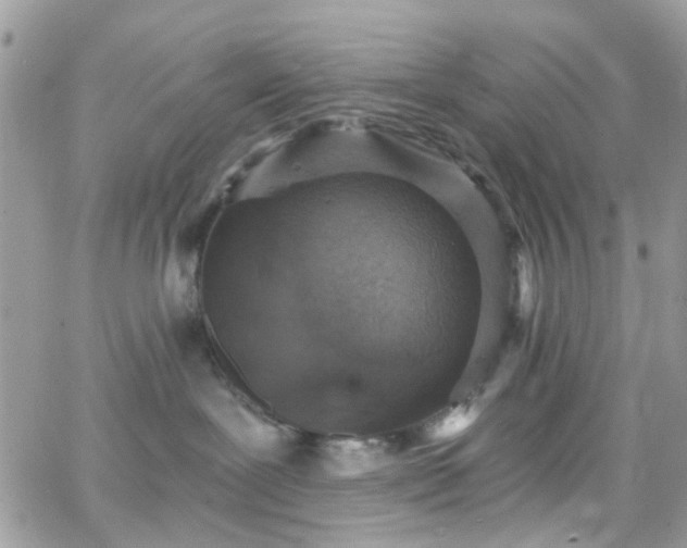 X0000066530239200603241409