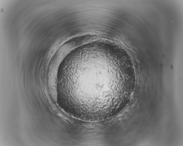 X0000066530241200603241409