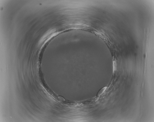 X0000066530243200603241409