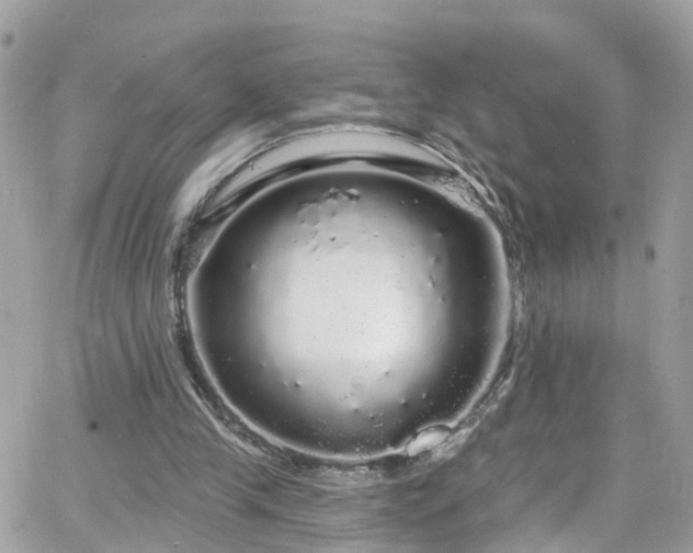 X0000066530245200603241409