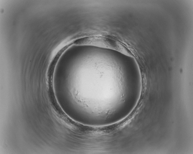 X0000066530246200603241409