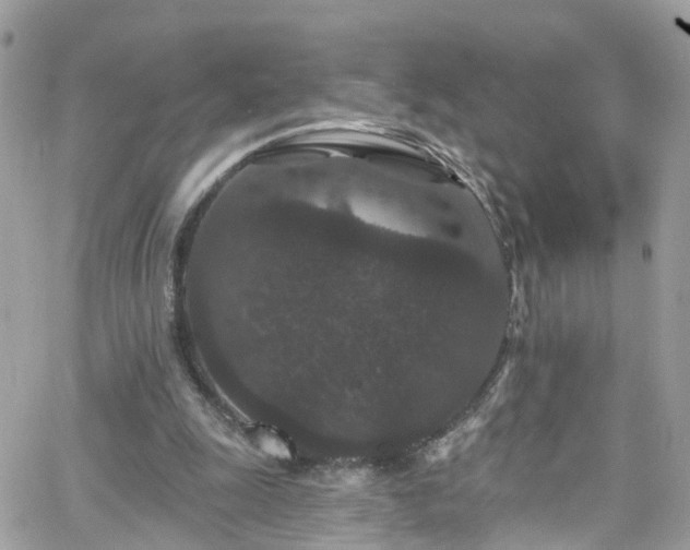 X0000066530247200603241409