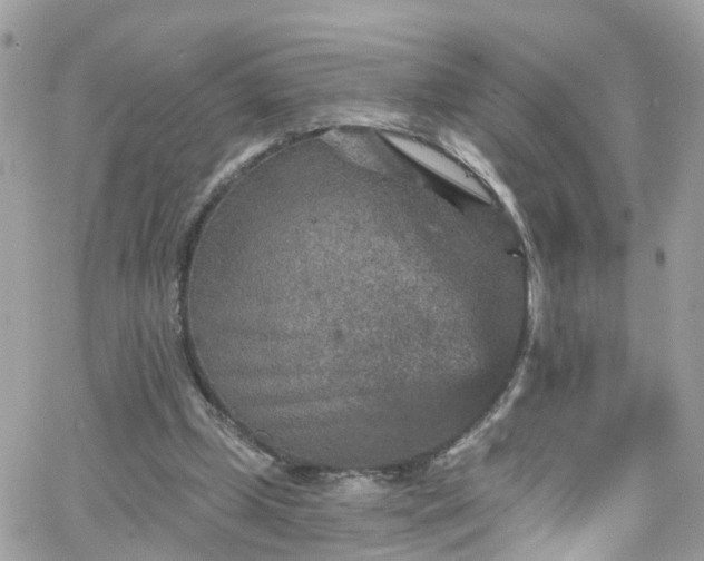 X0000066530249200603241409