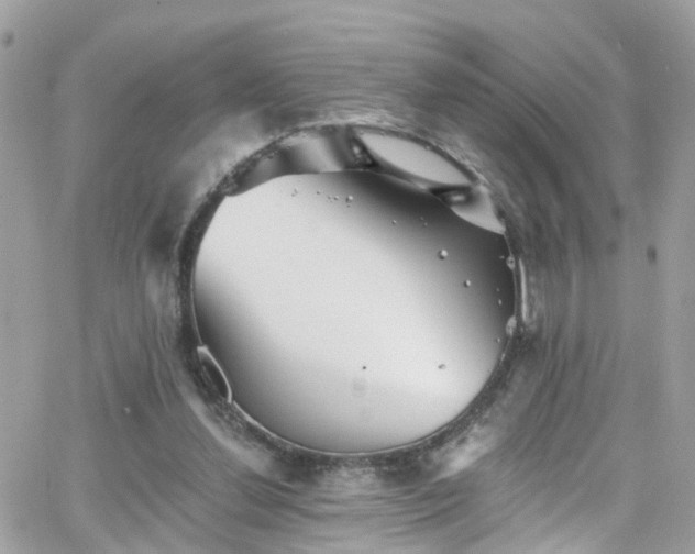 X0000066530252200603241409