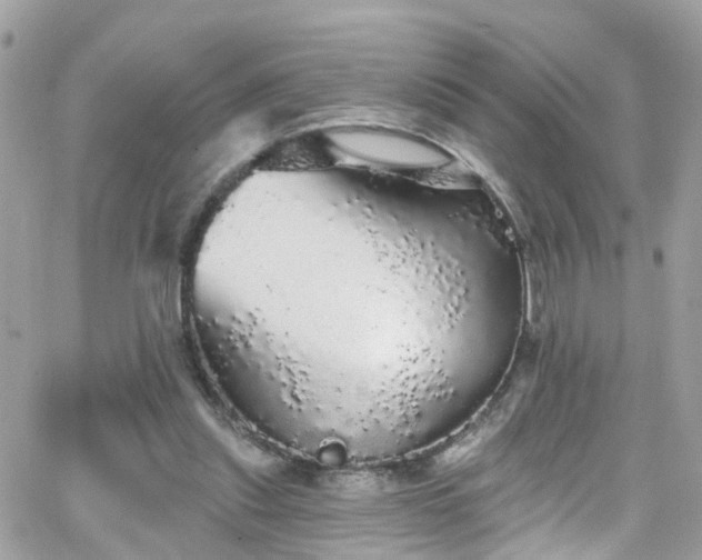 X0000066530253200603241409