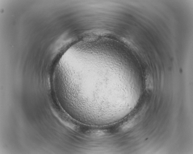 X0000066530254200603241409