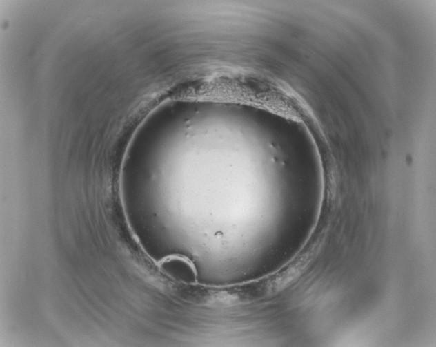 X0000066530257200603241409