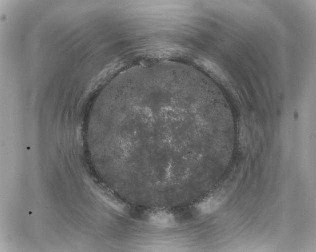 X0000066530258200603241409