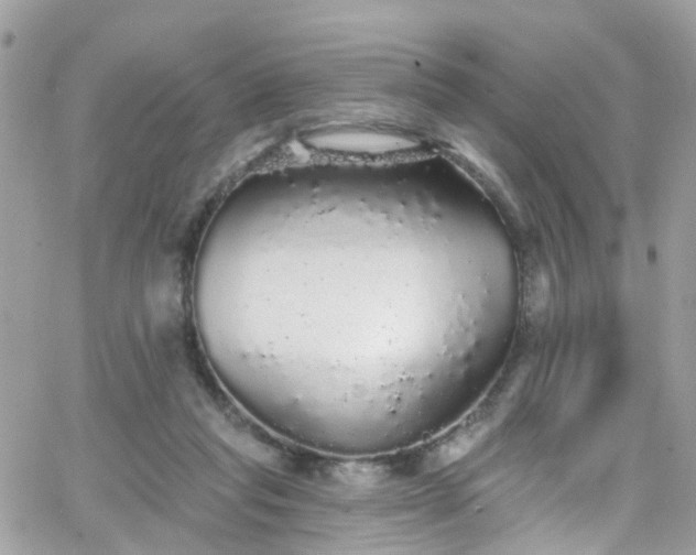 X0000066530261200603241409