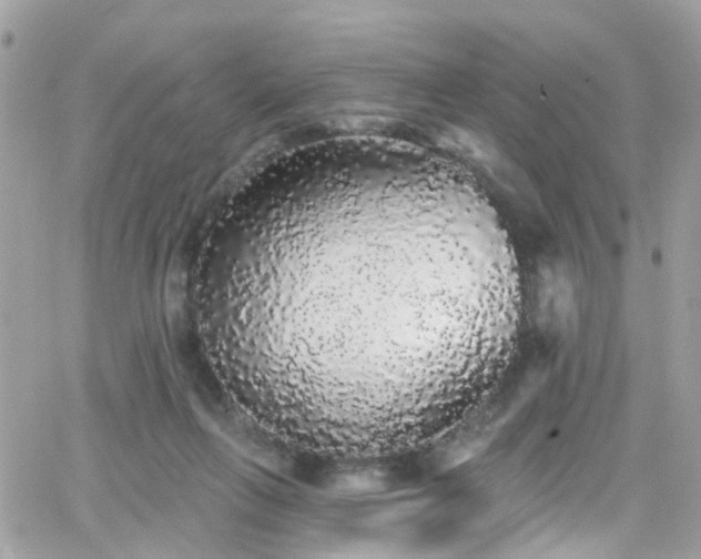 X0000066530263200603241409