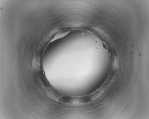 X0000066530264200603241409