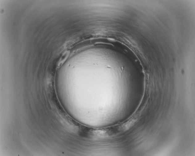 X0000066530265200603241409